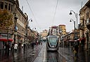 צילום: מיקי אלון
