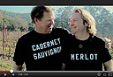 צילום מסך: Youtube