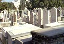 צילום: דוד הכהן