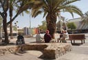 צילום: חיים הורנשטיין