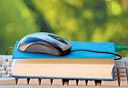צילום: shutterstock