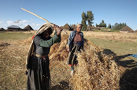 חקלאות באתיופיה