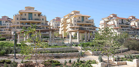 צילום: נמרוד גליקמן