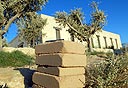 צילום: חיים הורנשטיין   