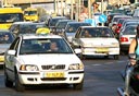 צילום: אביגיל עוזי