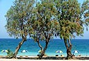 צילום: עומר הכהן