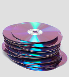 צילום: shutterstock צילום: shutterstock