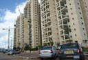 צילום: עמית שעל צילום: עמית שעל