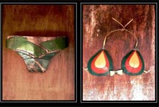 צילום מסך: toiletsigns.blogspot.com
