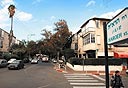 צילום: עמית שעל