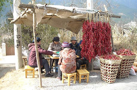 צילום: רחל בית אריה צילום: רחל בית אריה