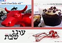 צילום:מאיר בן-ארי צילומי מסך: haoneg.com ,bazekalim.com 