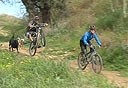 צילום: דרור איתן