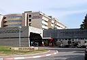צילום: יריב כץ