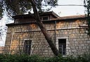 צילום: אלכס קומולוסקי