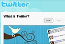 צילום מסך: twitter.com