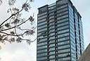 צילום: עמית שעל
