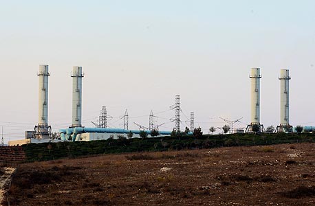 צילום: ערן יופי כהן צילום: ערן יופי כהן
