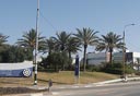 צילום: עמית מגל