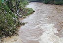צילום: cc-by מגנוס פרנקלין