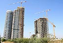 צילום: שאול גולן