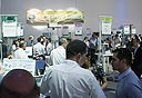 צילום: שרון פאיס