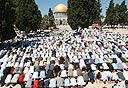 צילום: עטא עוויסאת