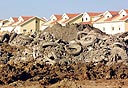 צילום: שאול גולן