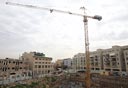 צילום: עמית מגל