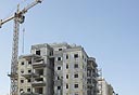 צילום: צביקה טישלר
