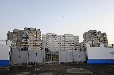 צילום: MCT צילום: MCT