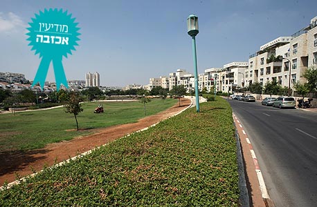 צילום: עמית שעל