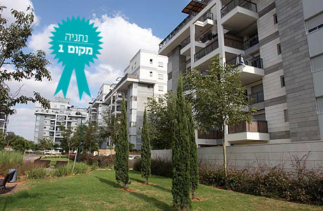 צילום: נמרוד גליקמן