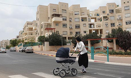 צילום: אוראל כהן