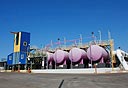 צילום: צפריר אביוב