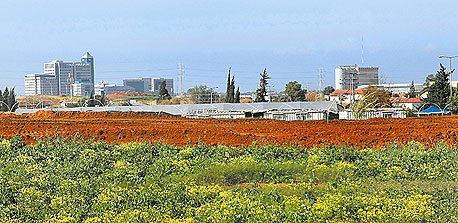 צילום: אוראל כהן צילום: אוראל כהן