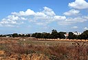 צילום: ערן יופי כהן