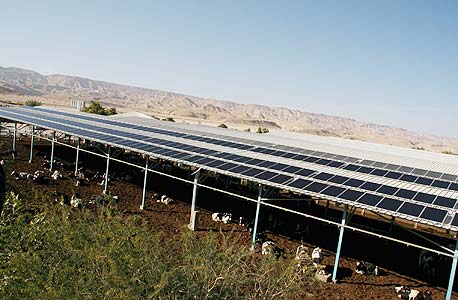 צילום: יעקב וייס צילום: יעקב וייס