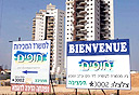 צילום: אלעד גרשגורן
