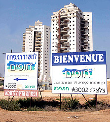 צילום: אלעד גרשגורן צילום: אלעד גרשגורן