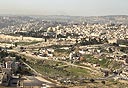 צילום: אירית קוטונה צילום: אירית קוטונה