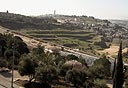 צילום: אירית קוטונה