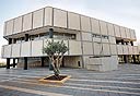 צילום: אביהו שפירא