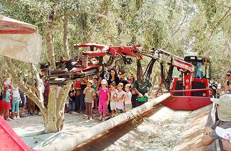 צילום: ניר לנדאו