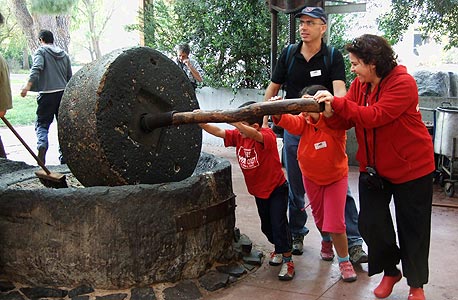 צילום: הילית שחם