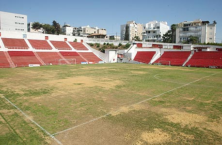צילום: עמית שעל