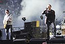 צילום: MCT צילום: MCT