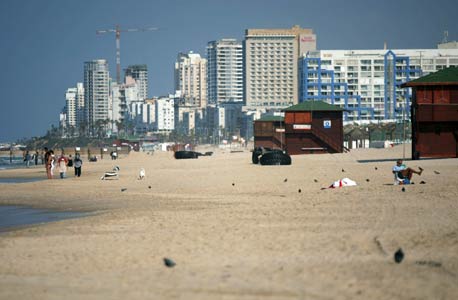 צילום: עמית שעל
