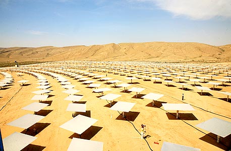 צילום: ששון תירם צילום: ששון תירם