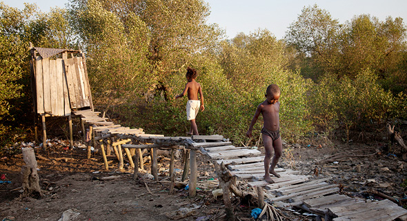 שירותי בור במדגסקר. קקי של 800 איש מייצר 6 טון דשן 